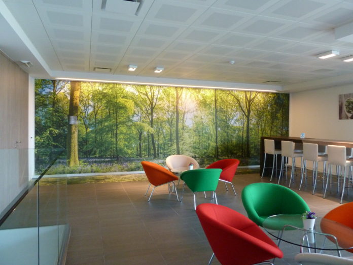 Grafityp introduces new wall decoration films.