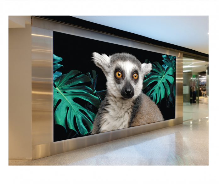 Kalideck Announces Large Format Digital Media Substrates Collection